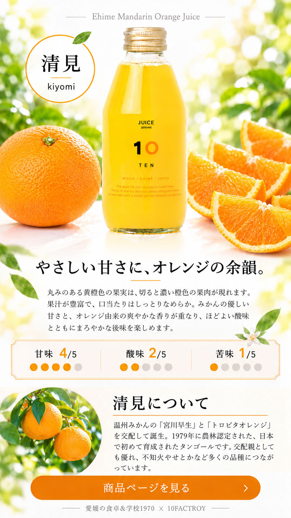【10％Off:感謝企画販売】6種類詰合せジュース500ｍｌ×12本 濃厚美味 10FACTORY Online Shop | 愛媛の食卓＆学校1970｜みかん蛇口で出会った