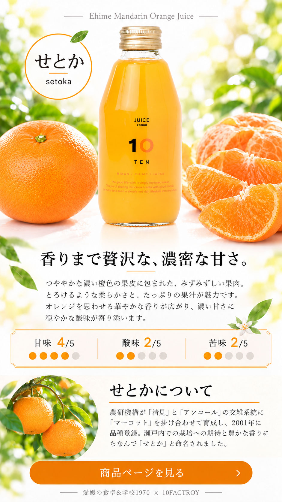 10FACTORY Online Shop | 愛媛の食卓＆学校1970｜みかん蛇口で出会った