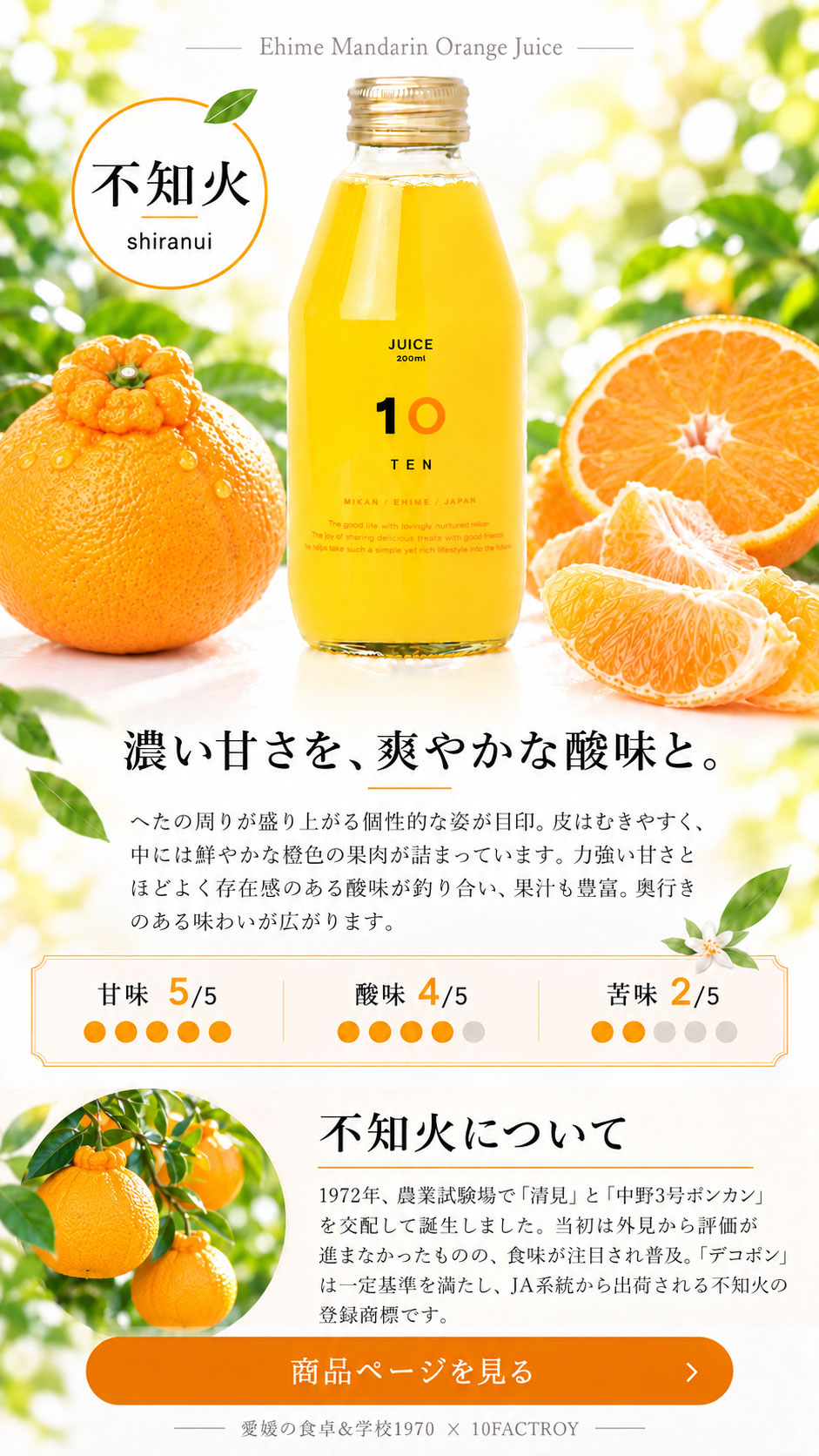 10FACTORY Online Shop | 愛媛の食卓＆学校1970｜みかん蛇口で出会った