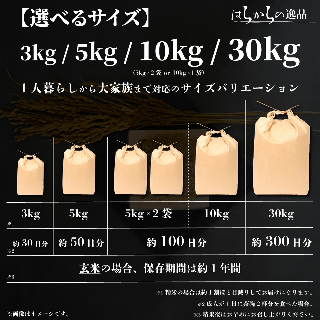 2025年収穫】宮城県産ひとめぼれ（玄米） 選べるサイズ(3kg, 5kg, 10kg