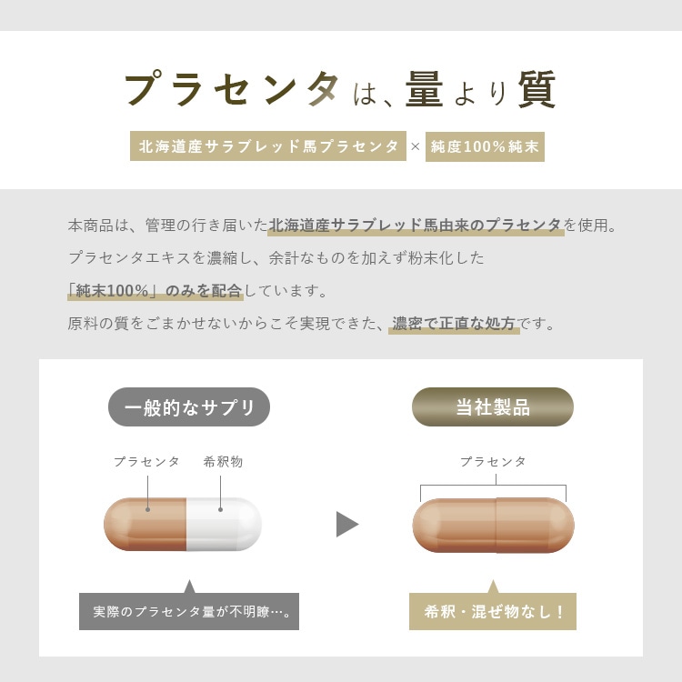 �ץ饻�󥿤��̤���