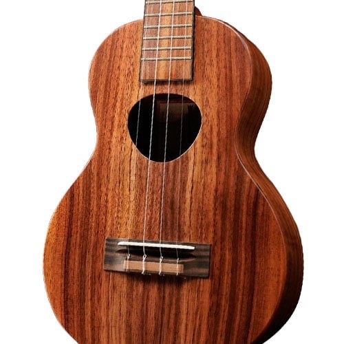 ウクレレを探す