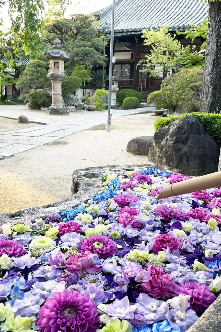 浄誓寺の花手水