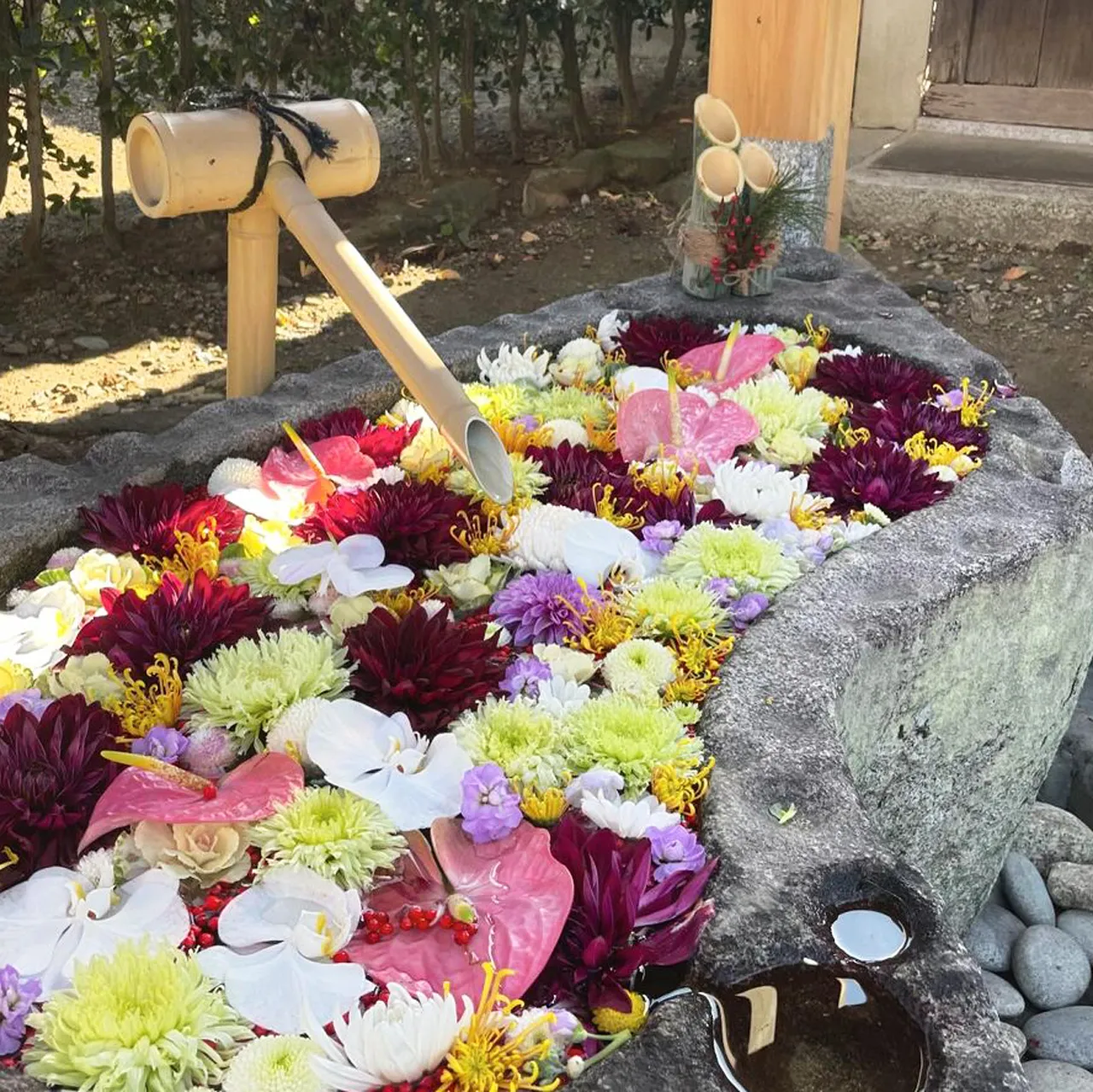 浄誓寺の花手水