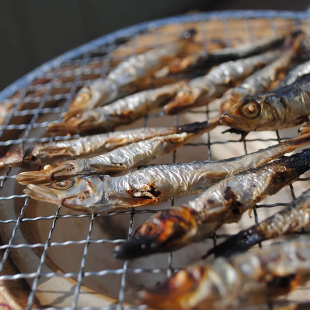 相模湾産 ウルメイワシ丸干 80g 丸干が大好きな方へ 苦くて塩辛くて硬い大人の味です の通販 伝統の丸干シリーズ 小田原ひもの 山市干物専門店