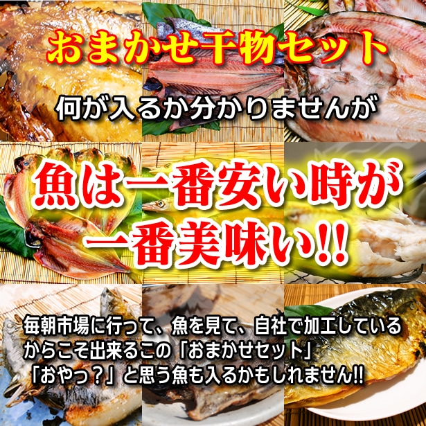 送料無料 おまかせ干物セット4000円コース 魚は山市干物専門店におまかせください その時の最高の魚を干物にてお送りします の通販 旬が詰まった おまかせ干物セット 小田原ひもの 山市干物専門店