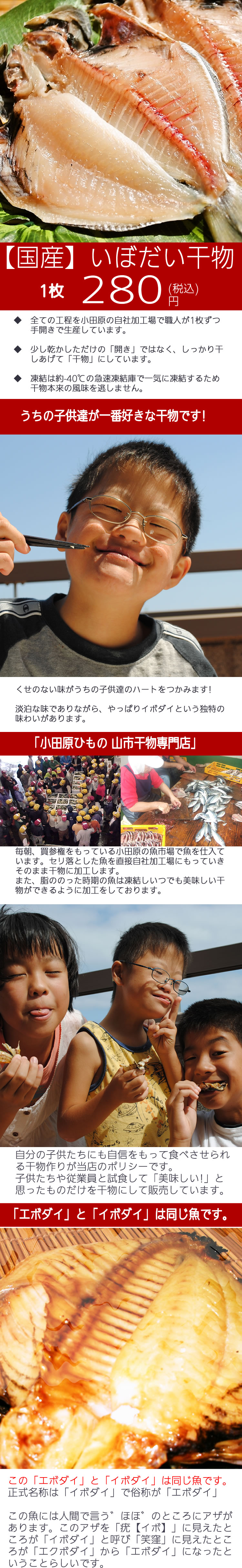 いぼだい干物 国産 1枚 うちの子供達が1番好きな干物です の通販 定番の干物を1枚ずつ販売してます 小田原ひもの 山市干物専門店