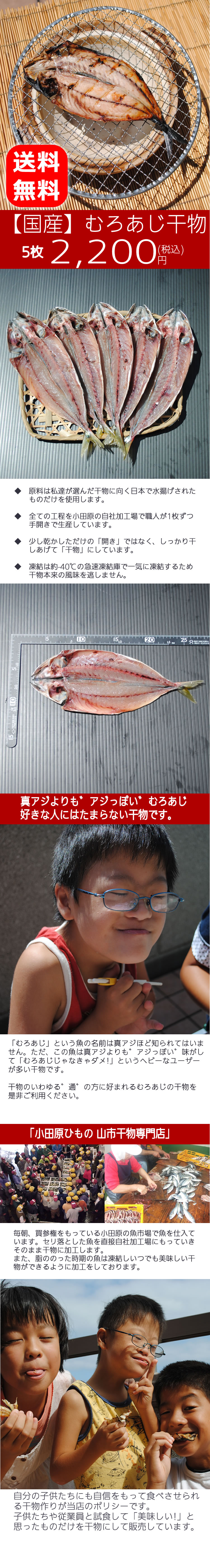 送料無料 むろあじ干物 国産 5枚 の通販 送料無料シリーズ 小田原ひもの 山市干物専門店