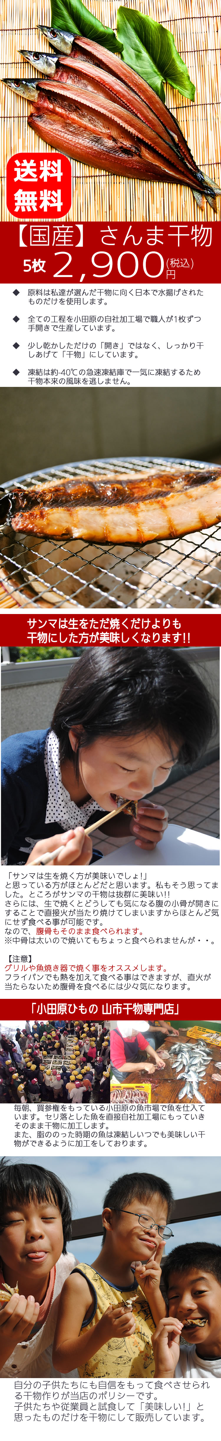 送料無料 国産 さんま干物 5枚 秋刀魚の干物ってこんなに美味いんだ の通販 送料無料シリーズ 小田原ひもの 山市干物専門店