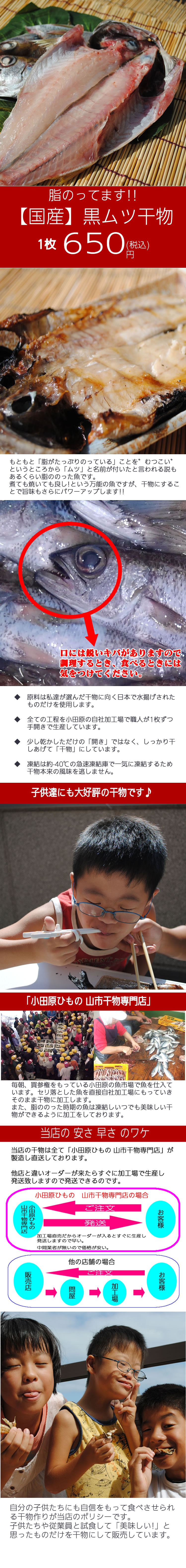 国産 黒ムツ干物 1枚 フワッとして脂たっぷりだから干物にしても実に美味い の通販 ちょっと珍しい干物です 小田原ひもの 山市干物専門店