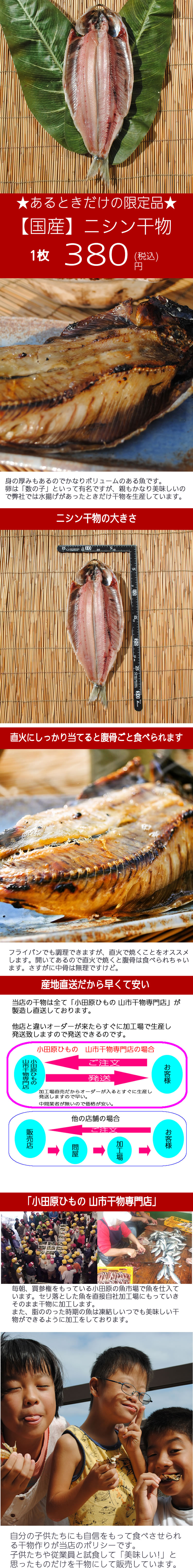 国産 ニシン干物 1枚 しっかり焼いて骨まで食べよう ホントに美味かった の通販 ちょっと珍しい干物です 小田原ひもの 山市干物専門店 国産 ニシン干物 1枚 しっかり焼いて骨まで食べよう ホントに美味かった の通販 ちょっと珍しい干物です 小田原ひもの 山市干物専門店