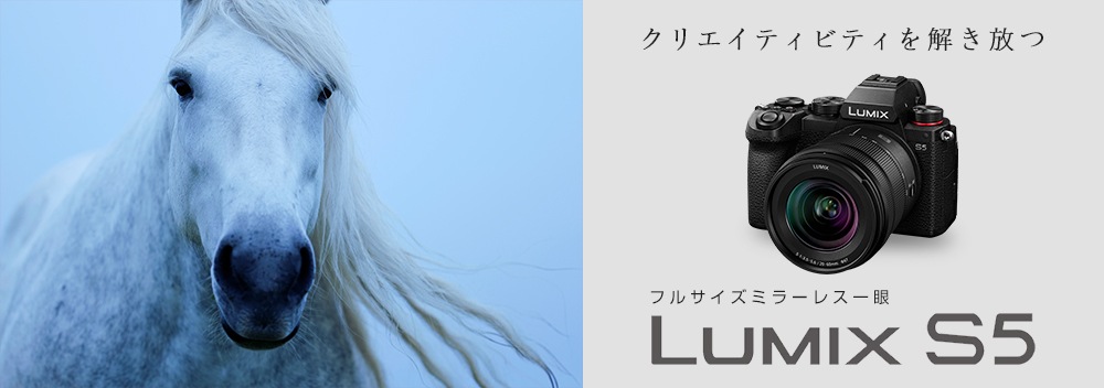 ライカのカメラやレンズ通販サイトなら カメラの大林