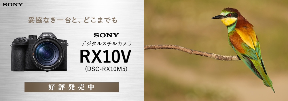 ライカのカメラやレンズ通販サイトなら｜カメラの大林
