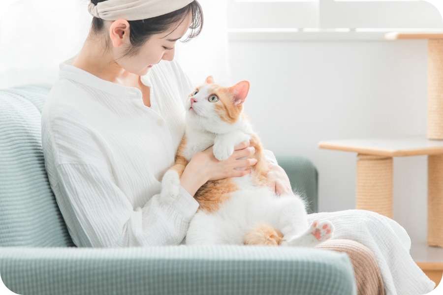 ペットにやさしい床材専門通販｜サンコーペットオンラインショップ【公式】