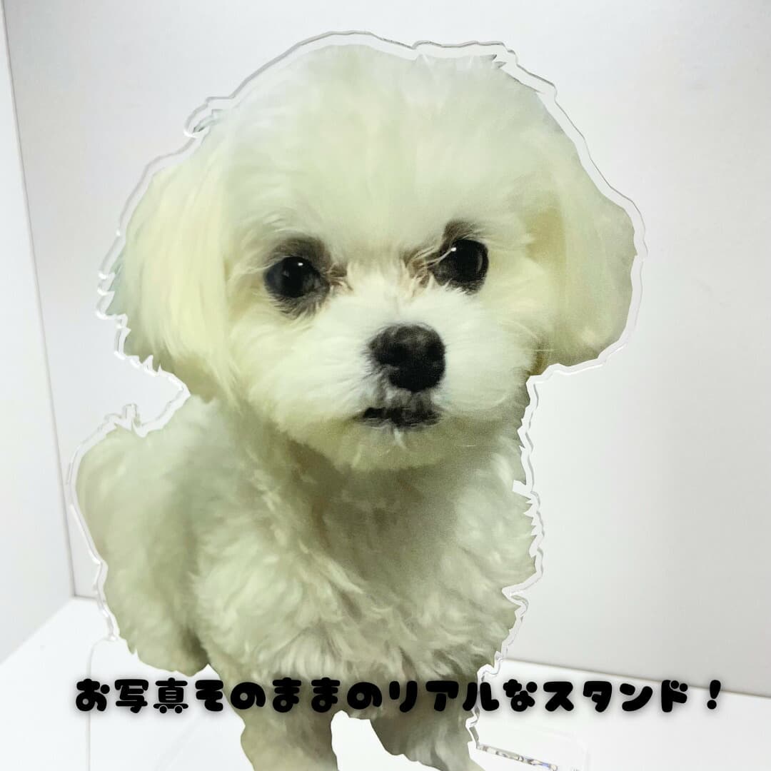 商品画像9