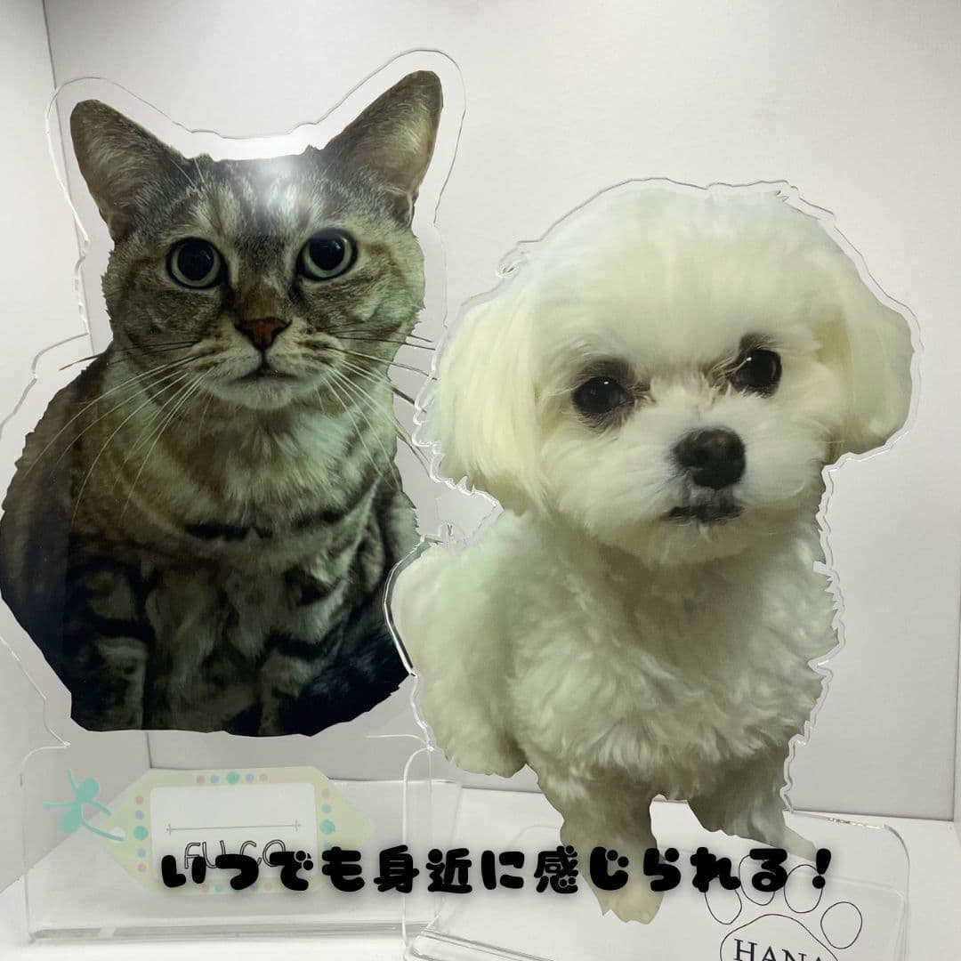 商品画像8