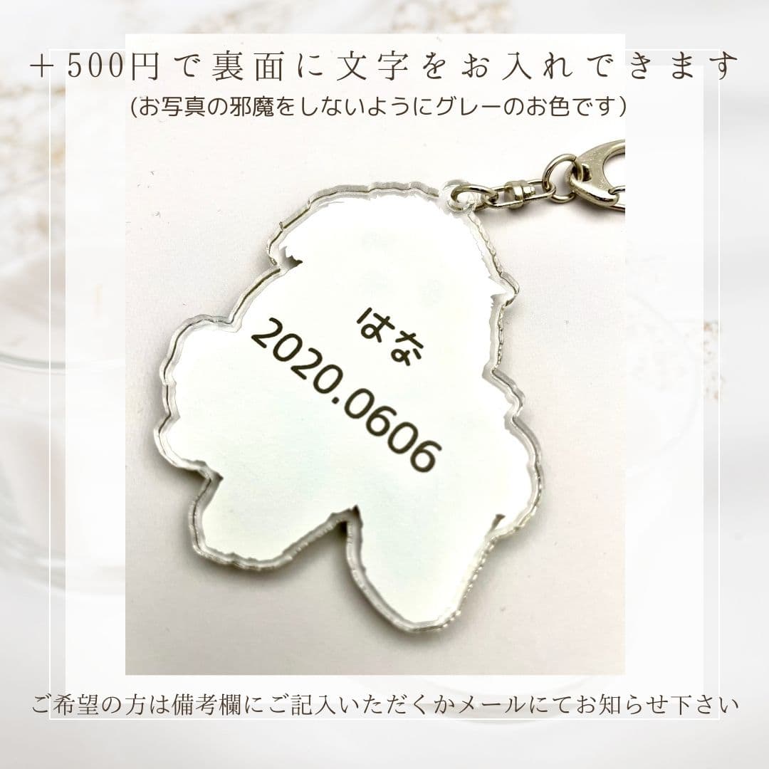 商品画像12