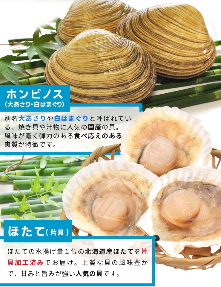 貝の海宝焼 牡蠣8個 さざえ4個 ホンビノス貝4個 ほたて片貝10個