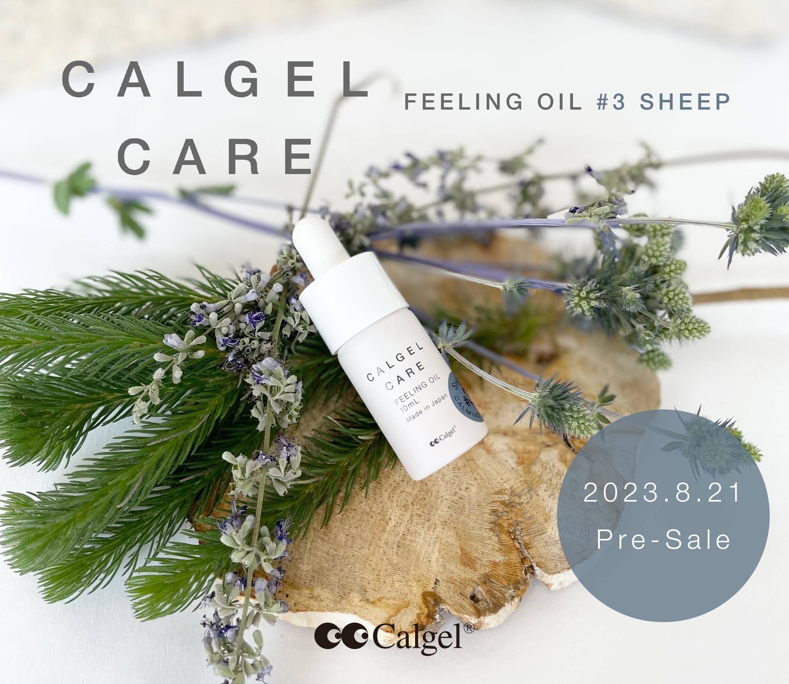 NEW ARRIVAL Calgel ȯΤΤ餻