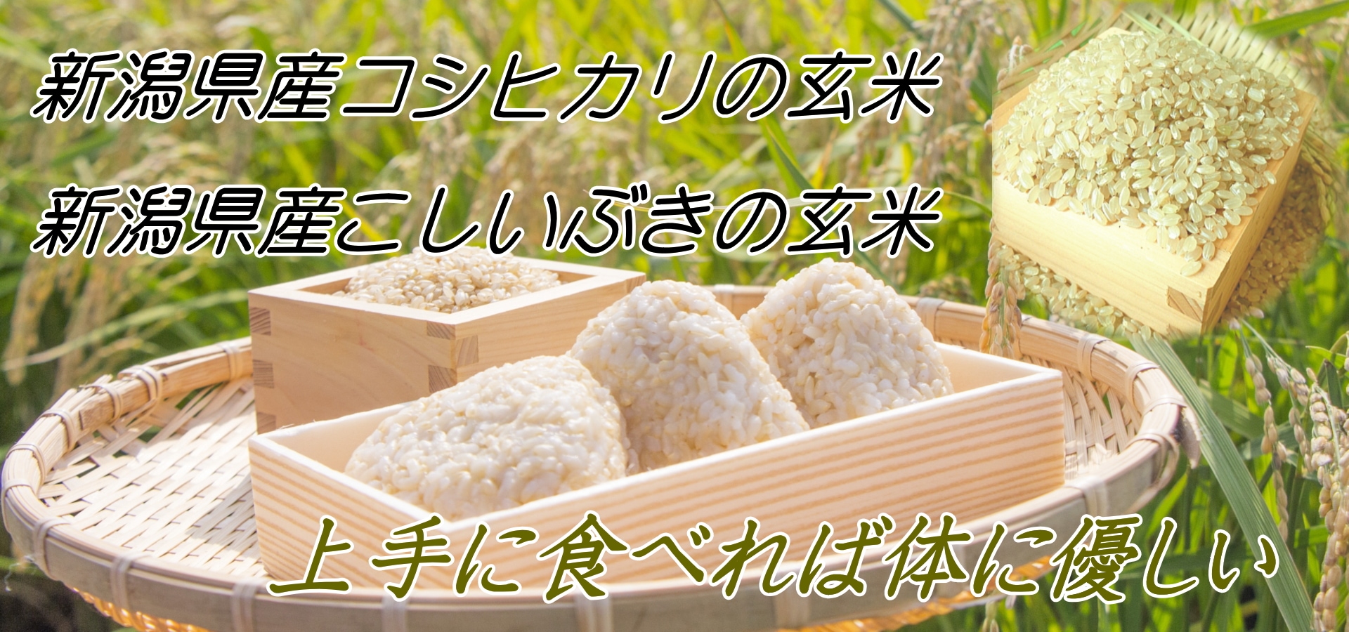 新潟県産「コシヒカリ玄米・こしいぶき玄米」