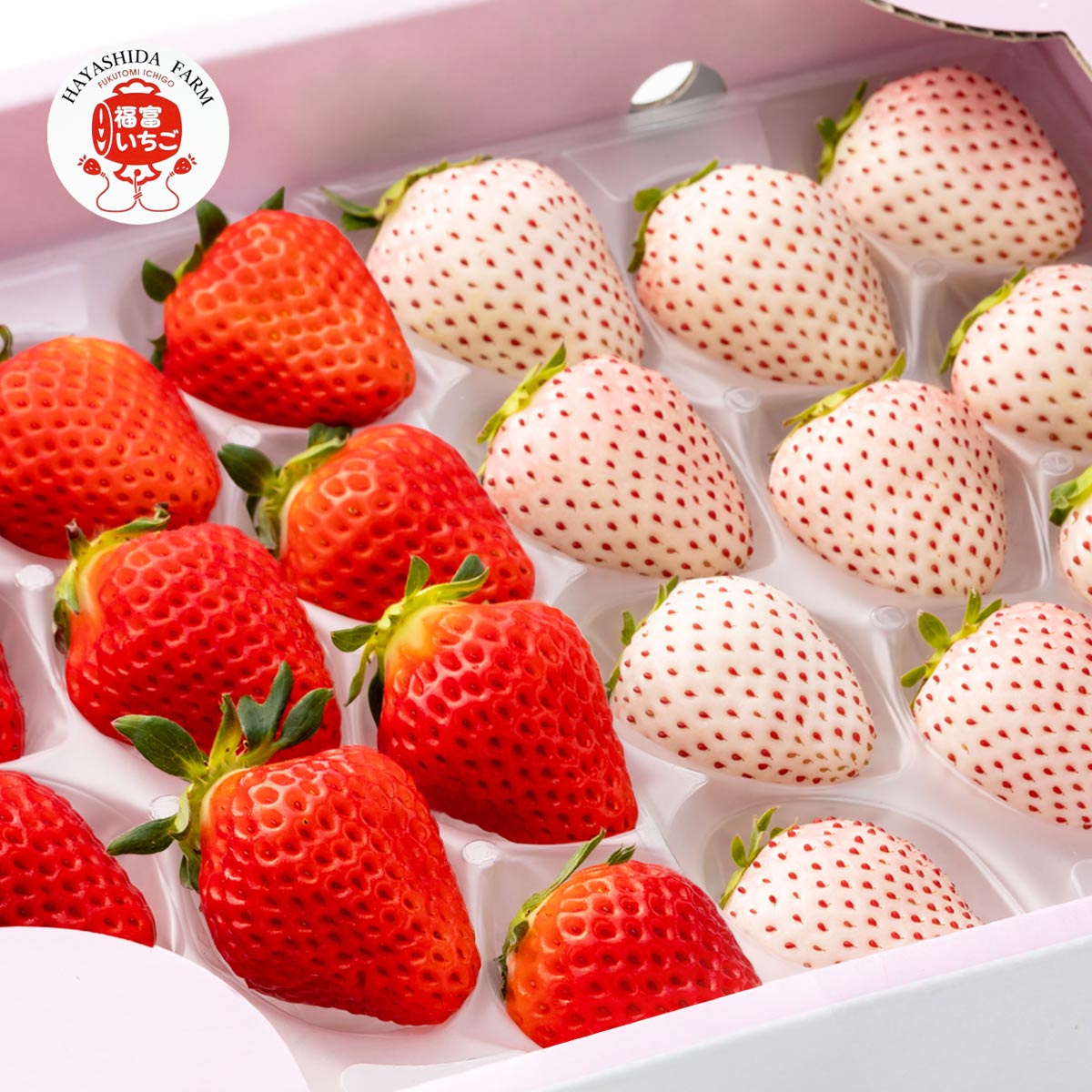 ハヤシダファーム さがほのか・パールホワイト食べ比べ