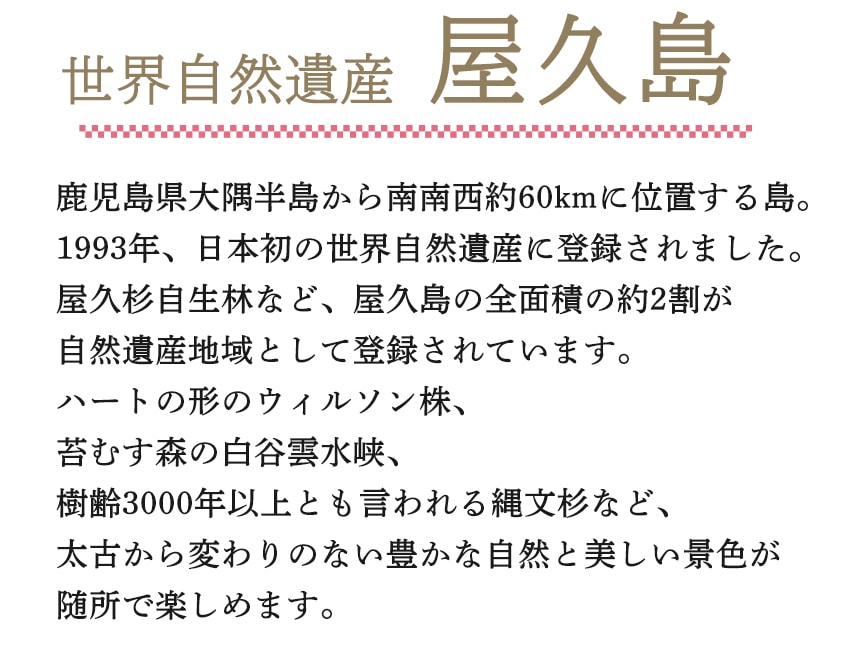 にじデパート 屋久杉製品