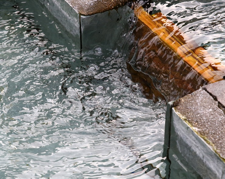 にじデパートの生産者紹介・玉乃舎