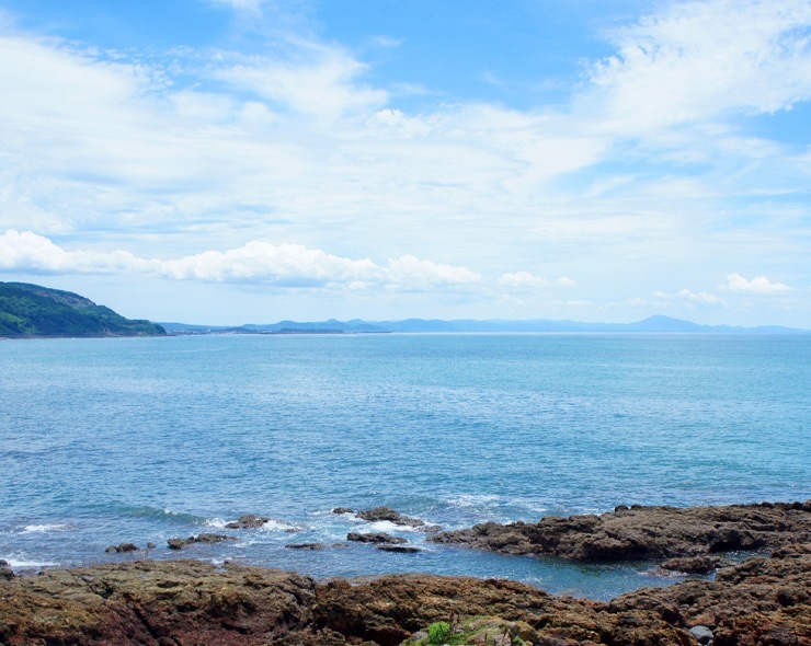 にじデパートの生産者紹介・中新商店