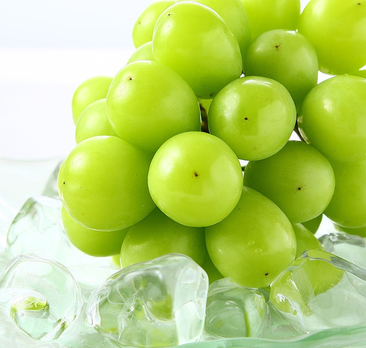 にじデパート|松川果樹園 贈答用 シャインマスカット