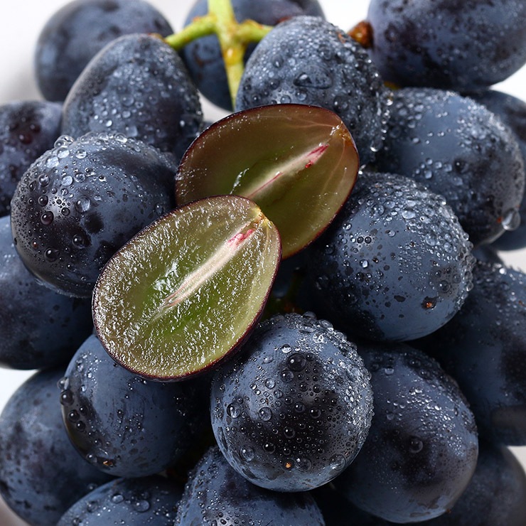 にじデパート 巨峰