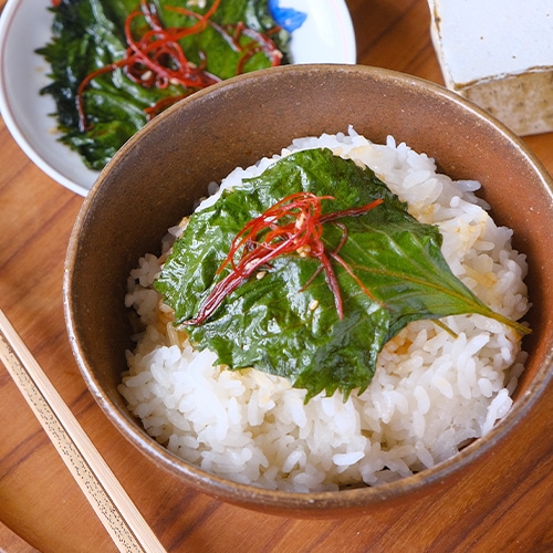 かんろ(本醸造甘口) 大葉の醤油漬け
