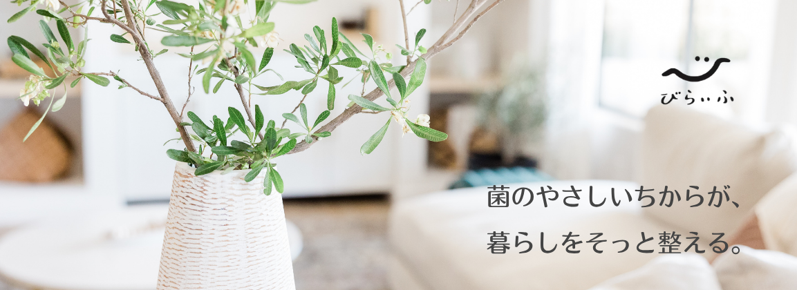 びらいふtop