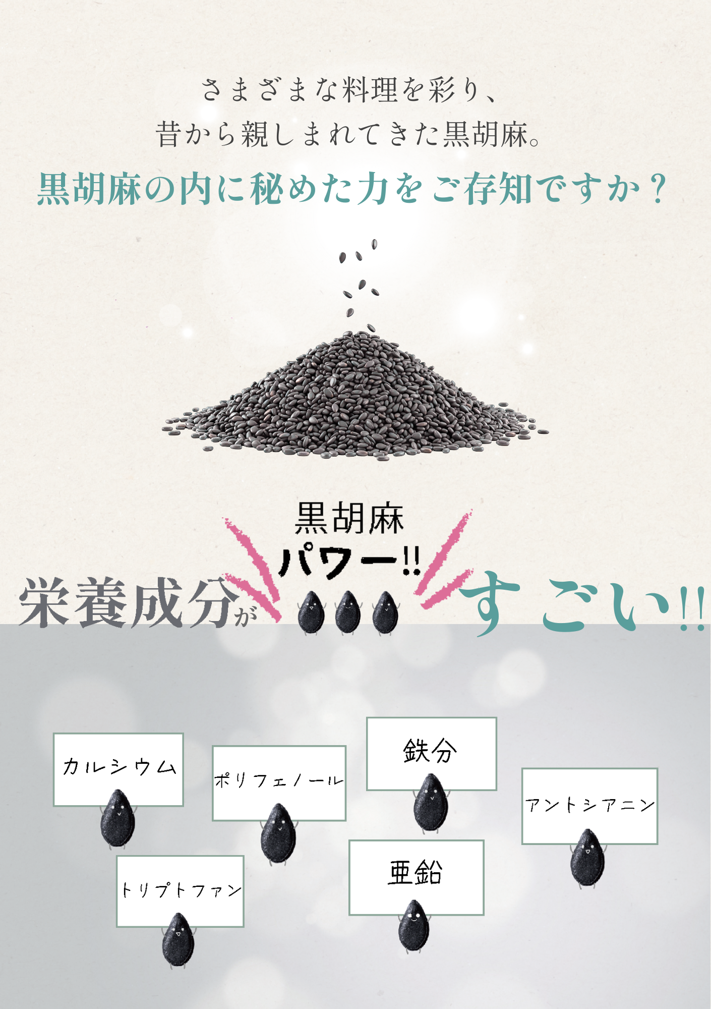 黒胡麻サプリメント-lp