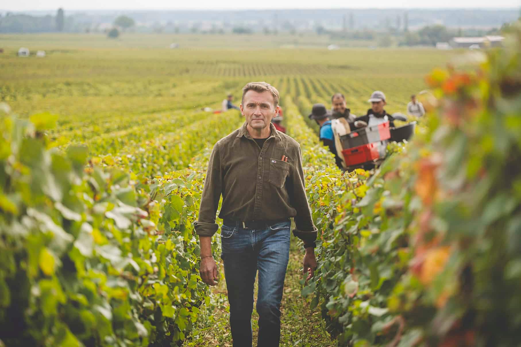 ピエール・ヴァンサン