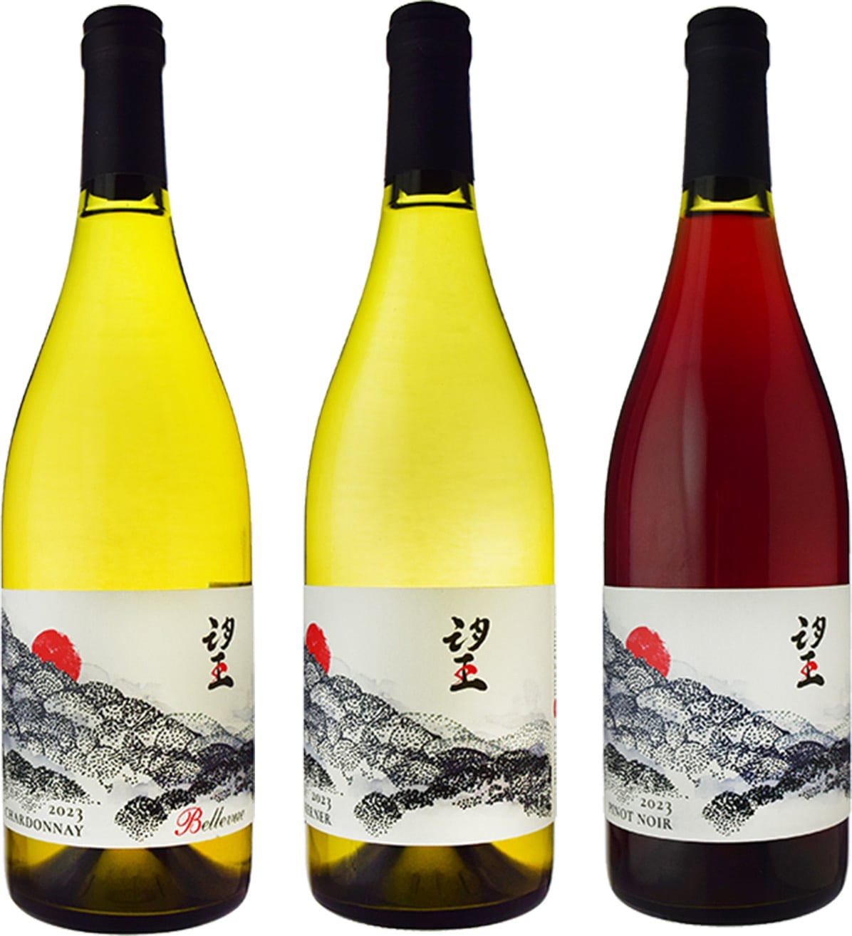 【メルマガ読者限定】『ド・モンティーユ＆北海道』”望”シャルドネ+ケルナー+ピノ・ノワール[2023]3本セット