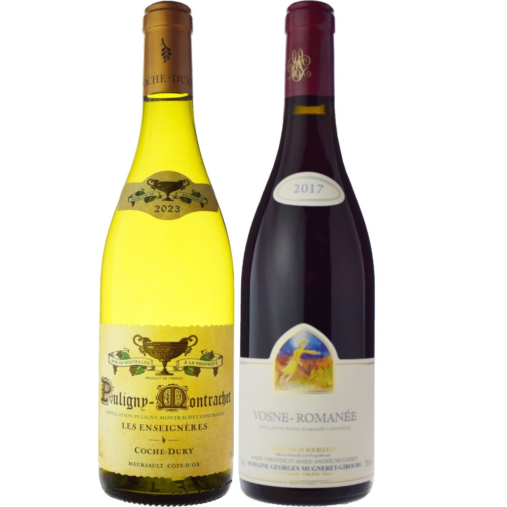 ブルゴーニュ アリゴテ[2023]