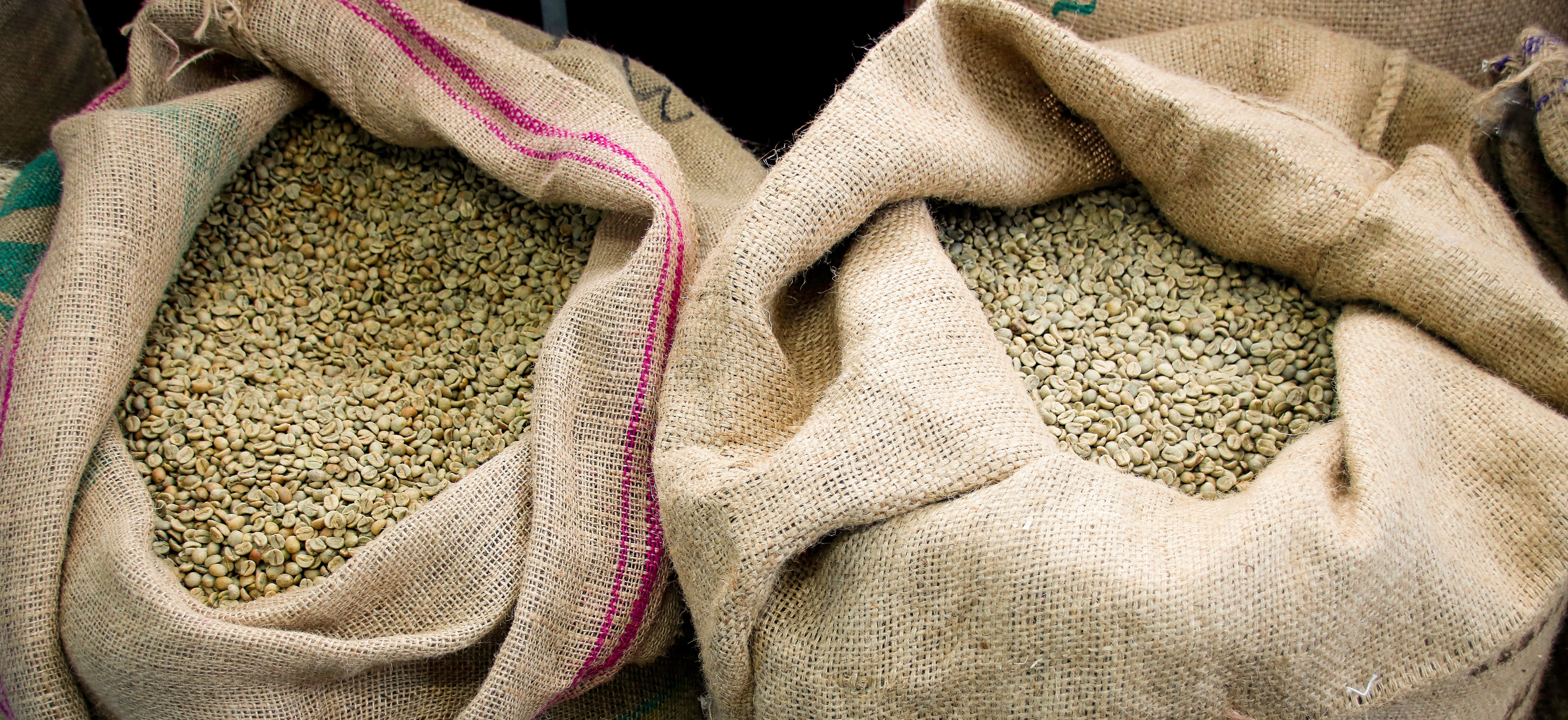 生豆の選べるセット(400g×3袋) 宅急便｜焙煎後にお届け【西山珈琲公式