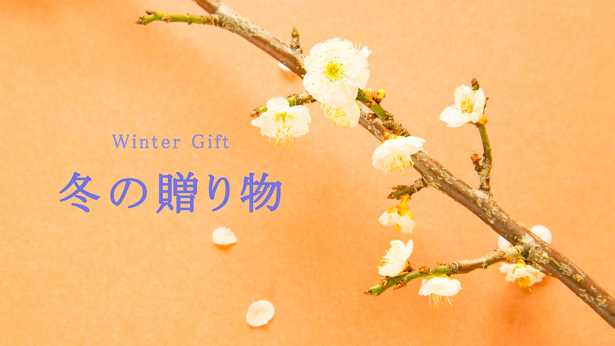 winter_gift