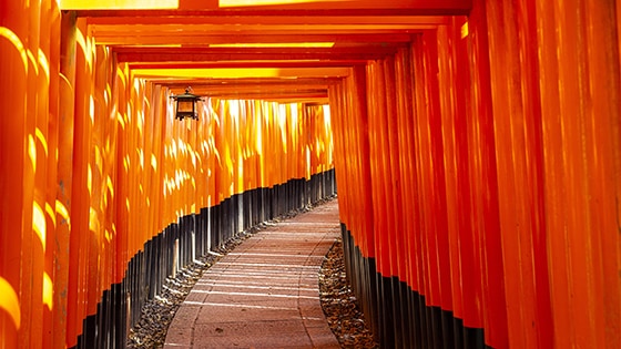 日本製 | 小川光章の世界 | 京都 KOSHO 公式オンラインショップ | 職人