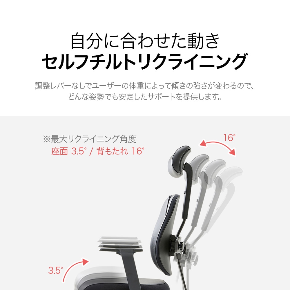 デュオバック（DUOBACK）エグゼクティブチェア D2500G-DASL