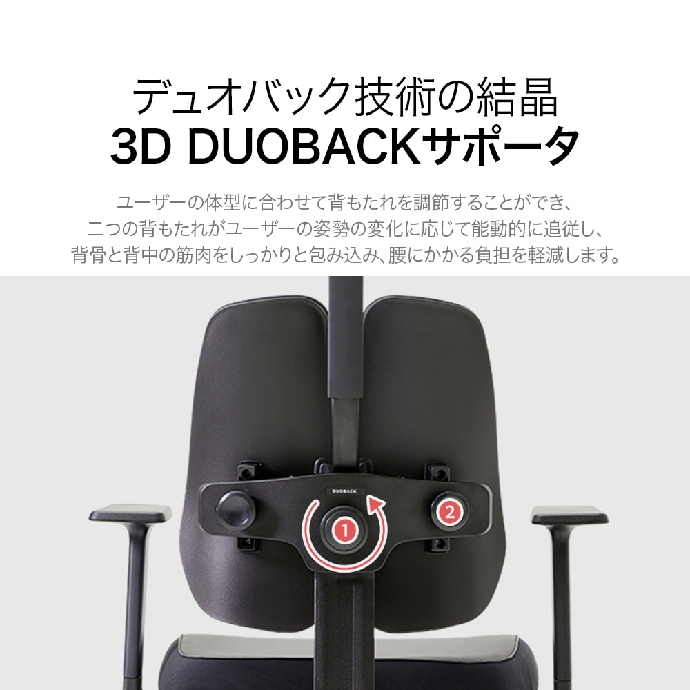 デュオバック（DUOBACK）エグゼクティブチェア D2500G-DASL