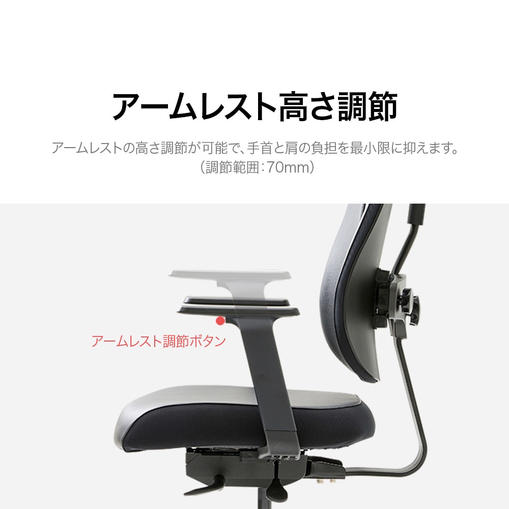 デュオバック（DUOBACK）エグゼクティブチェア D2500G-DASL