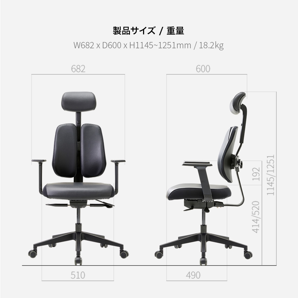 デュオバック（DUOBACK）エグゼクティブチェア D2500G-DASL