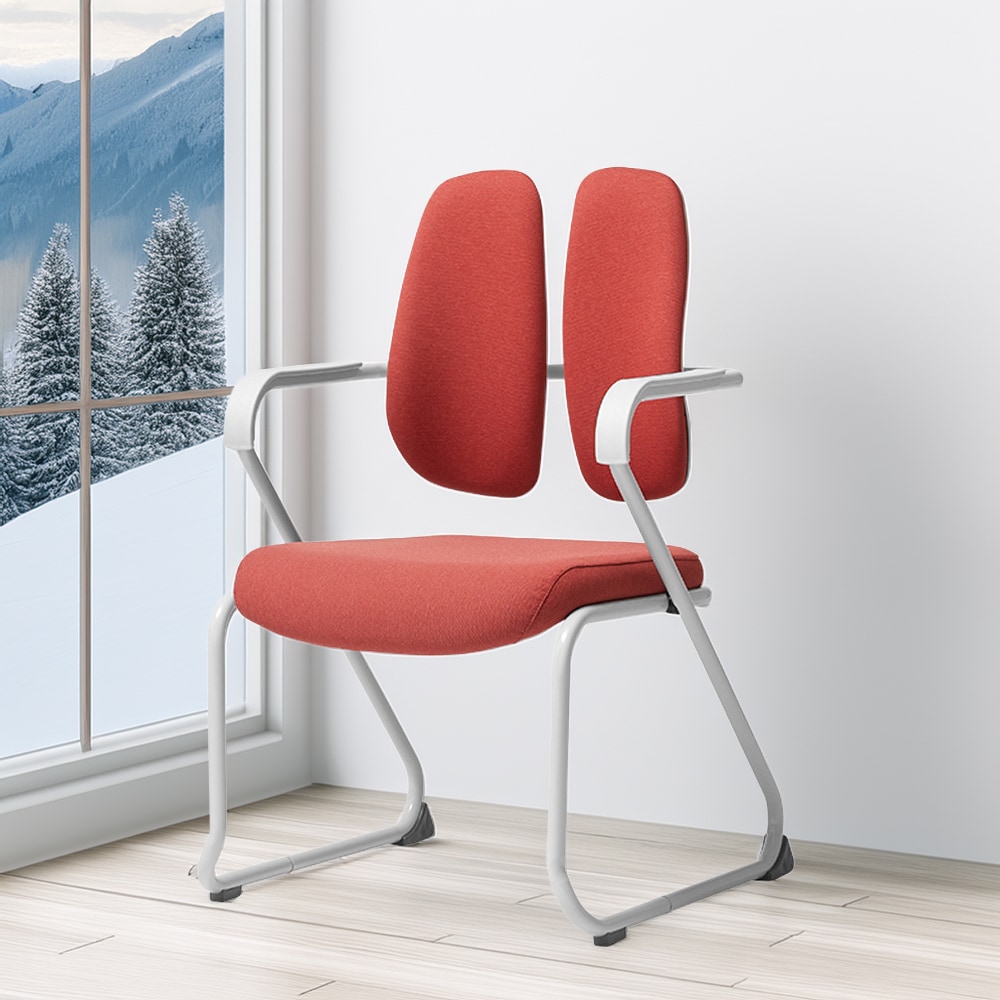 デュオバック（DUOBACK）インテリアチェア DK-073W