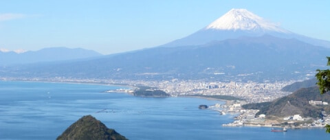 町の地域情報はこちら