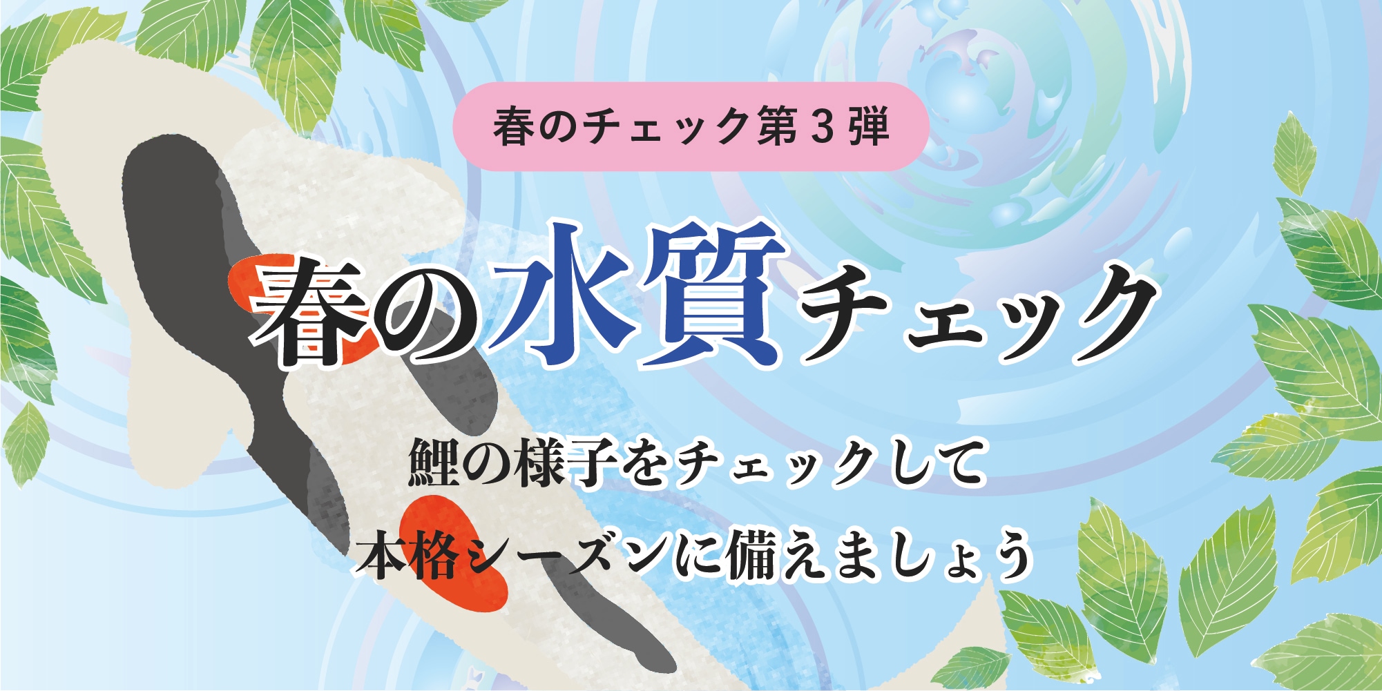 春の感謝セール 水質チェック