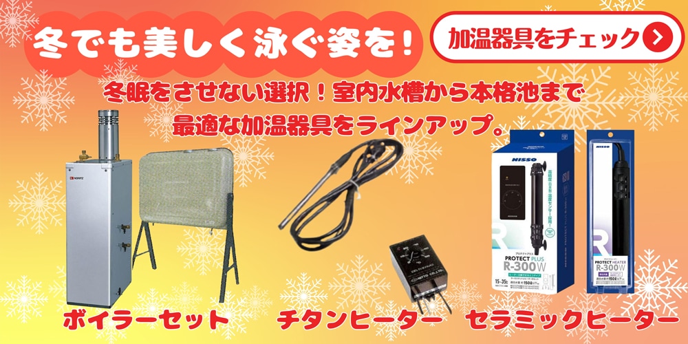 錦鯉エサ 錦鯉水槽 稚魚エサなど錦鯉飼育用品専門店コイモール