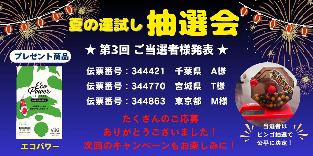 ㊗️ 抽選会・第3回 当選者発表 ㊗️