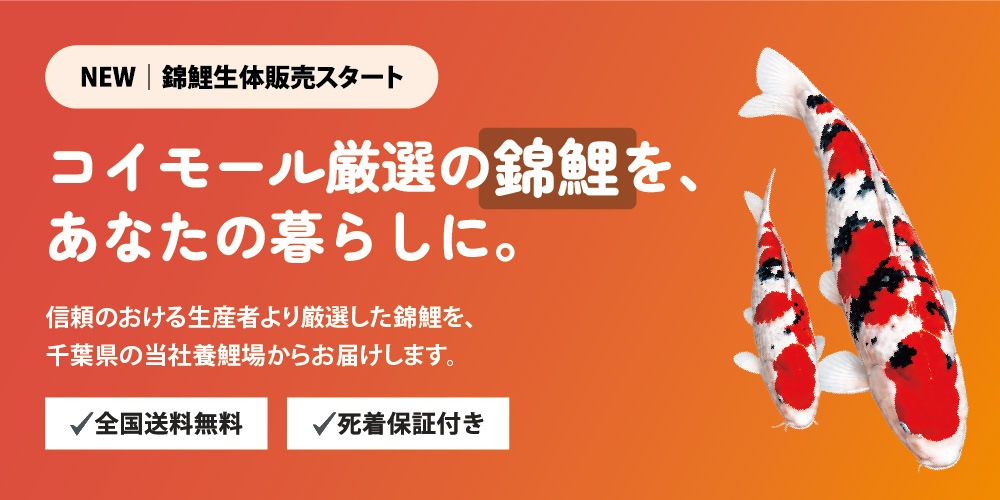 錦鯉エサ 錦鯉水槽 稚魚エサなど錦鯉飼育用品専門店コイモール