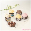 Lady Borden����ǥ����ܡ��ǥ󡡥������ȥ��åȡ���������������